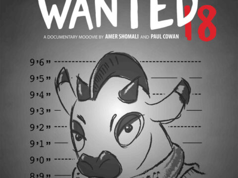 the wanted 18